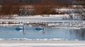 090_Biebrza - marzec 2013